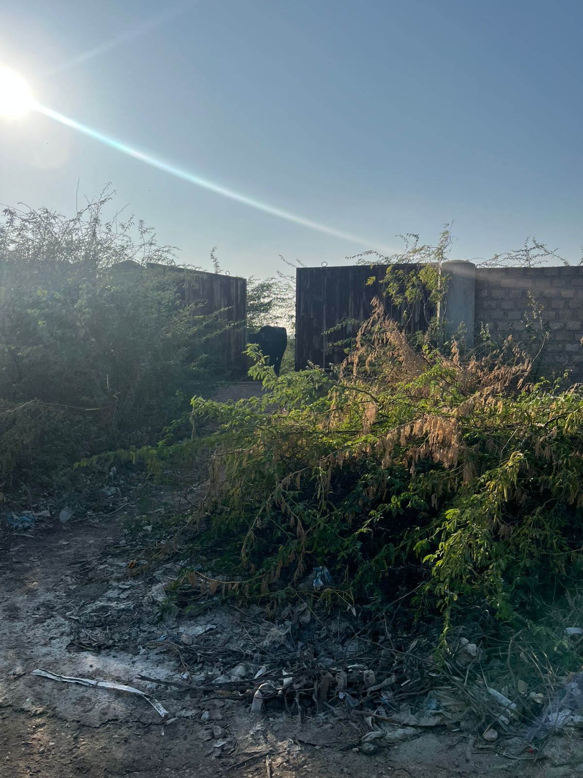 Three Acares Industrial plot with boundary wall in Nooriabad Industrial zone - Image 5